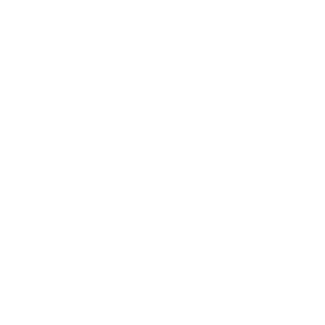 Ícone do WhatsApp